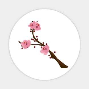 Delicate Branch of a Cherry Tree - Blossom Magnet